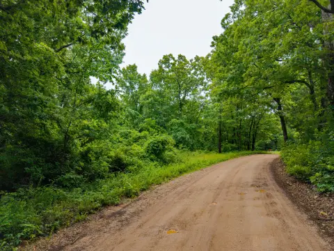 25 Acres of Wooded Land