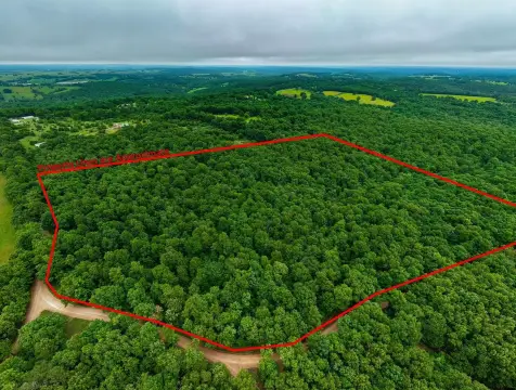 Wooded Hunting Land with Easy Highway Access