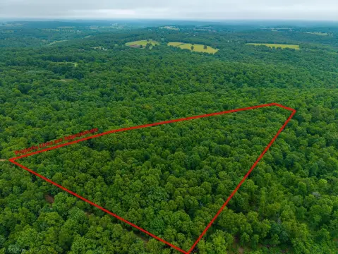 Wooded Hunting Land Parcel