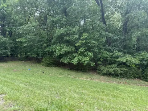 Two Acre Wooded Lot