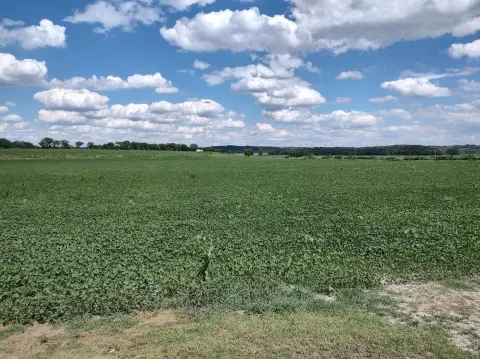 Productive Tillable Farmland