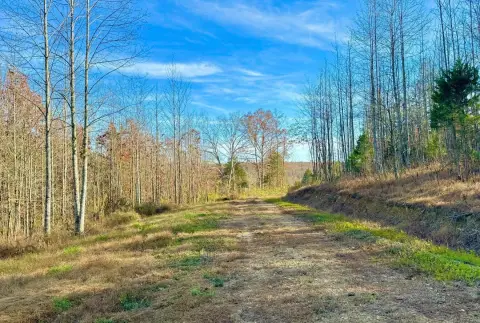 Wooded Land with Water Available