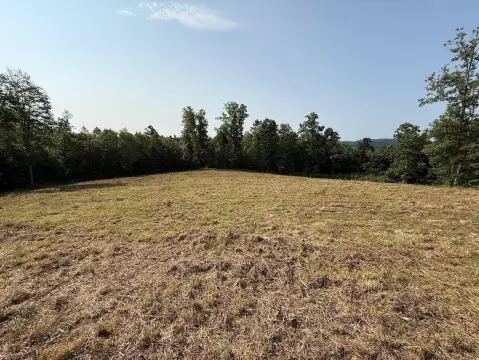 Wooded Hunting Land with Spring