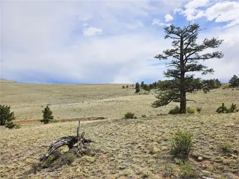 Residential Land with BLM Adjacency