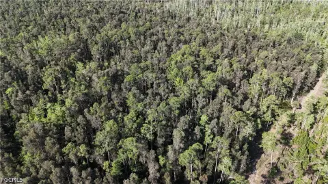 Recreational Land in Collier County