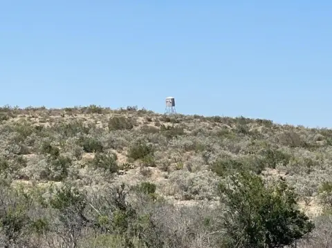 Hunting Land with Campsite