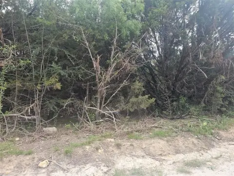 Unimproved Land in Whitney, Texas