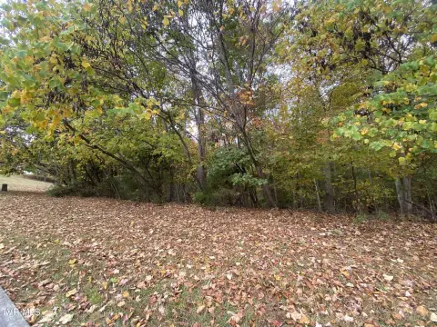 Piney Flats Vacant Residential Lot