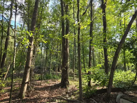 Acre Lot in Beech Island