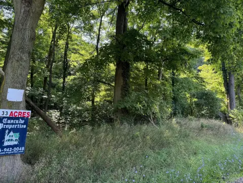Timbered Hunting Land