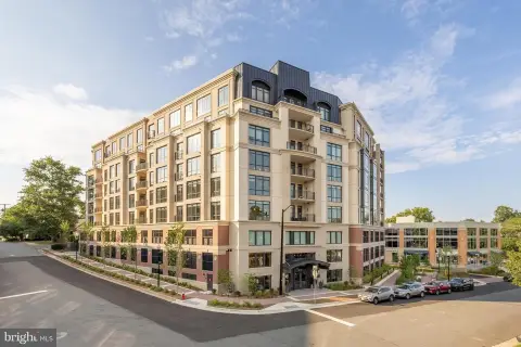 Luxury Condo in Boutique Building