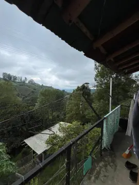 Coffee Farm in Salento, Quindio