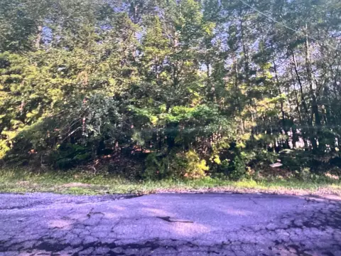 Vacant Lot on The Trace