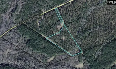Winnsboro Acreage: Endless Possibilities
