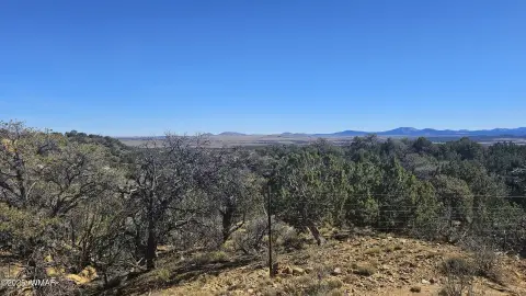 Concho, AZ Canyon Rim Land