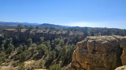 Concho, AZ Canyon Rim Land