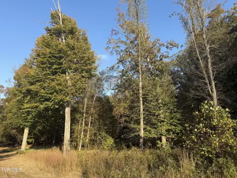 Land Near Laurel Run Park
