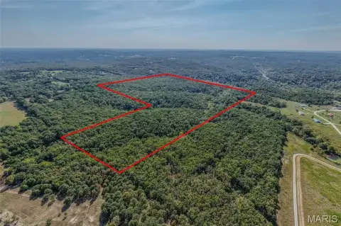 Secluded 80-Acre Hunting Land