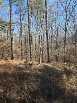 Ponderosa Lake Subdivision Land