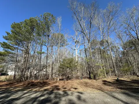 Residential Lot in Savannah Lakes