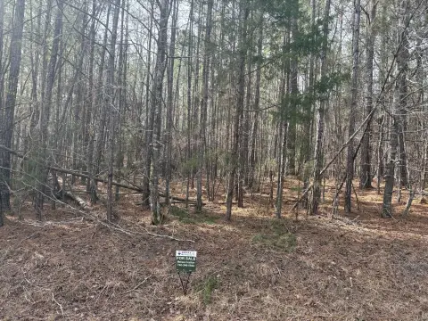 Residential Lot in Savannah Lakes