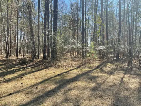 Golf View Homesite in Community
