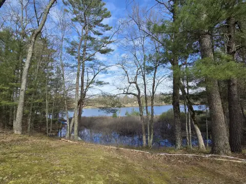 Land on Alice Lake