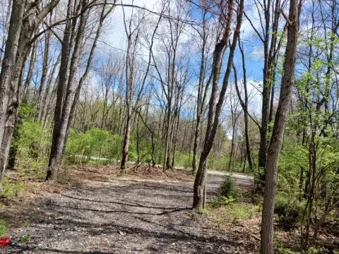 Residential Land in Niles, MI
