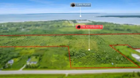 Vacant Land with Billboard