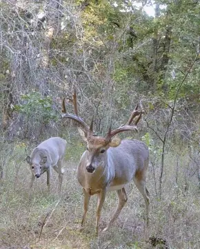 Turnkey Hunting Property Near Henryetta