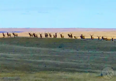 Lewistown, MT Hunting/Grazing Land