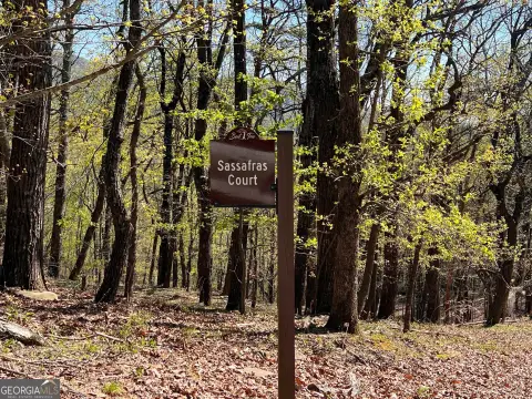 Mountain Retreat Lot