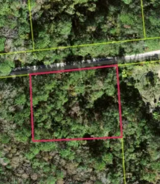 10-Acre Wooded Parcel in Kissimmee