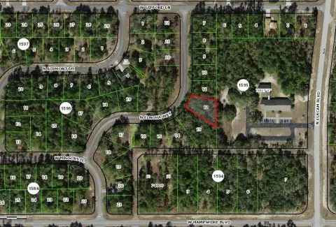 Citrus Springs Residential Lot