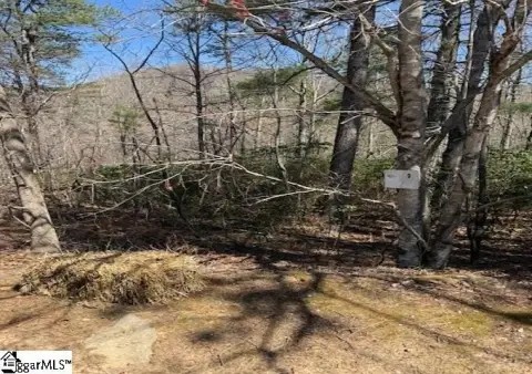 Residential Lot in Cliffs Valley