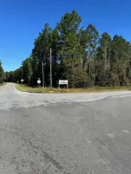 48.42 Acres Near Interstate 16