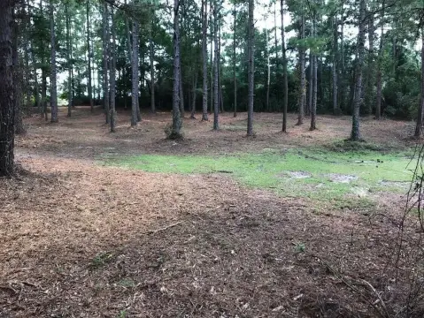 Aiken Land Near USC-Aiken