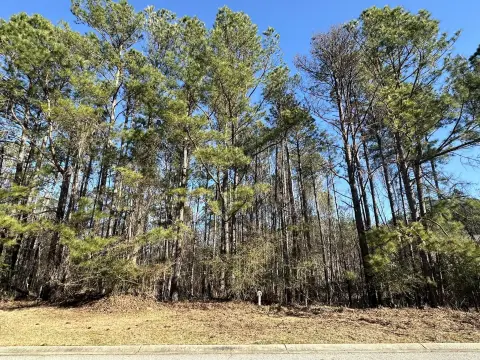 Residential Lot in Mount Vintage