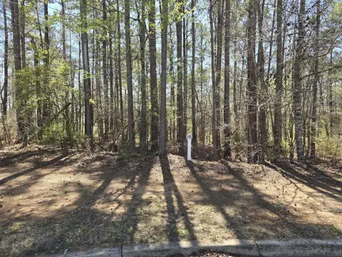 Residential Lot in Mt. Vintage