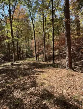Wooded Residential Land Lot