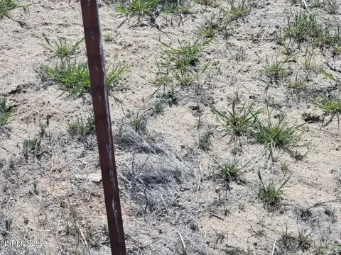 Silver Springs Off-Grid Land