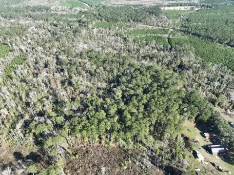 Hineston, LA Vacant Land