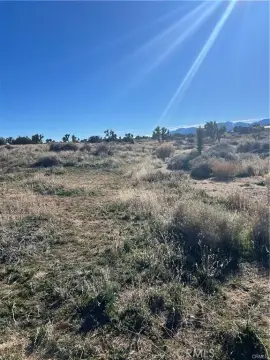 Phelan Land with Water Credits