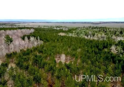 Hunting Land Near National Forest