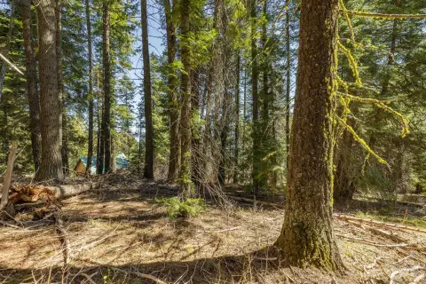 Wooded Land Near Tamarack Resort