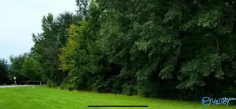 Gadsden Land with Water Access