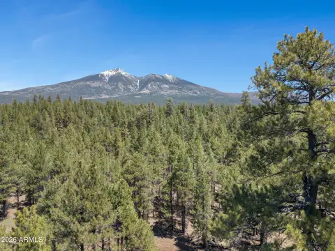 Land in Flagstaff with Views