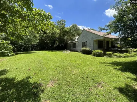 Chapin Commercial Land For Sale