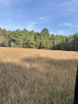 Secluded Hunting Land in Henderson, TX