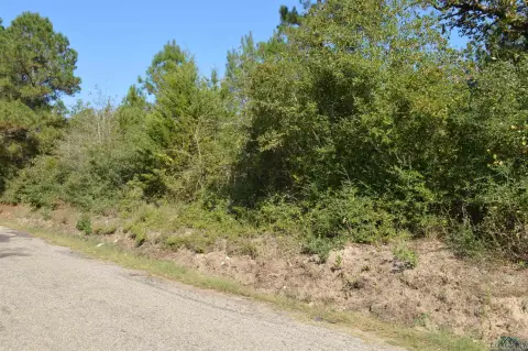 50 Acres for Development